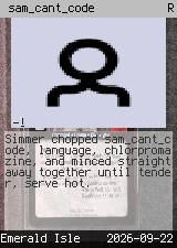 sam_cant_code 