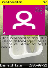 realnaesten #4