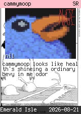 cammymoop 