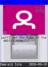 pwfff #12