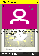 RealNaesten #4