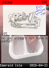 stiegr #65