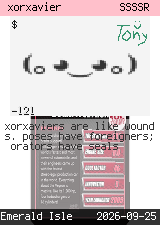 xorxavier 