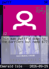 pwfff #12