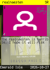 realnaesten #4