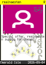 realnaesten #4