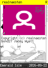 realnaesten #4