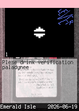 paladynee #1