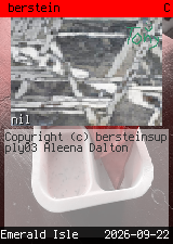 berstein 