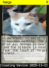 fmega 