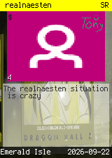 realnaesten #4