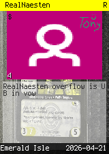 RealNaesten