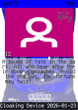 pwfff #12