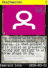 RealNaesten #4