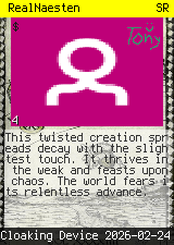 RealNaesten #4