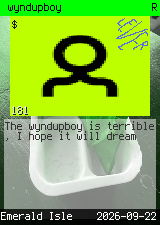 wyndupboy