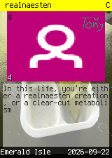 realnaesten #4
