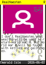 RealNaesten #4